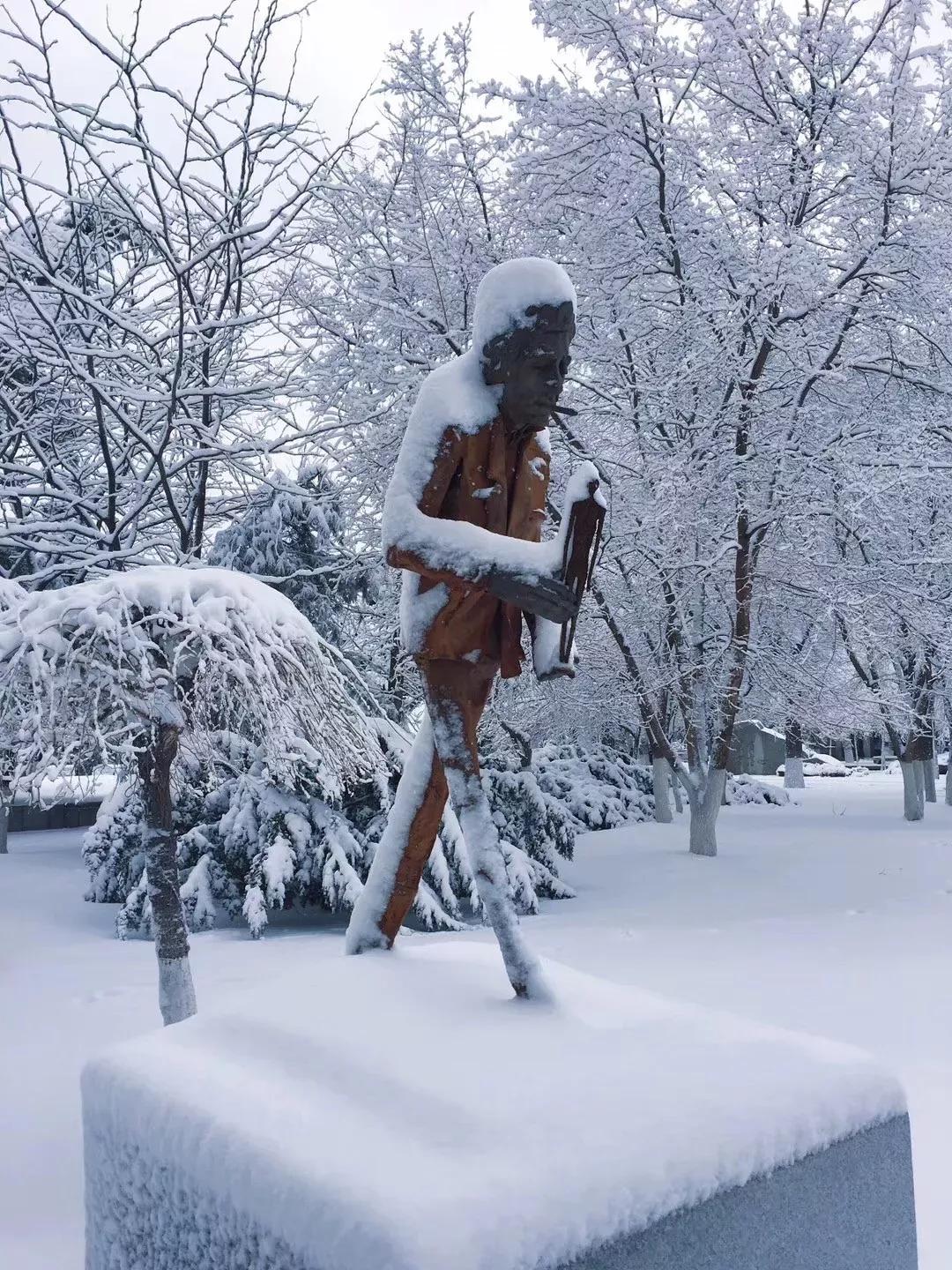 辽宁大学和鲁迅美术学院,辽宁省鲁迅美术学院是985吗