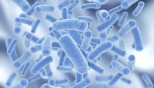 中药汤药治疗银屑病牛皮癣,牛皮癣银屑病什么西药最好