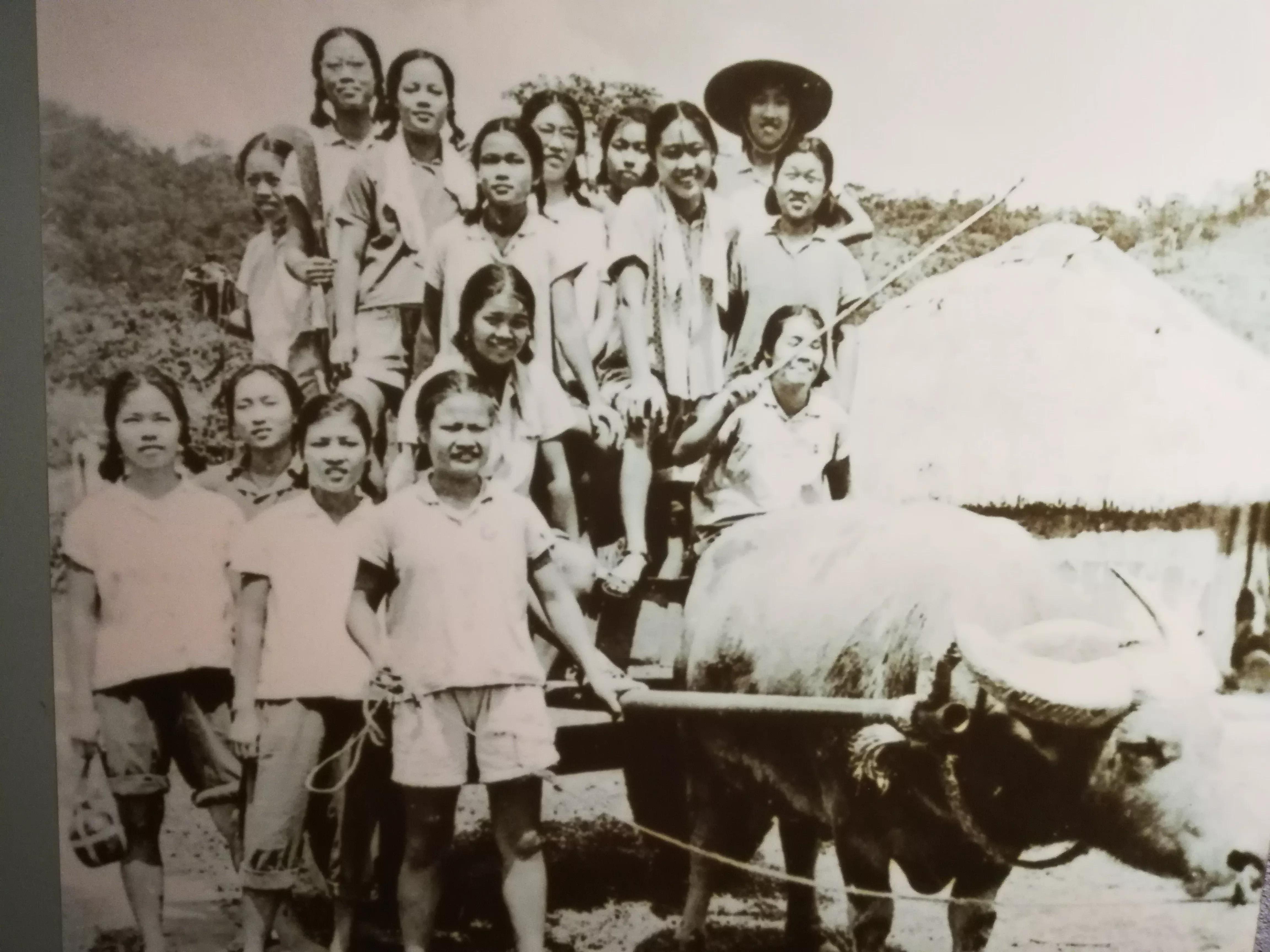 中国海南自由行,海南省自由行