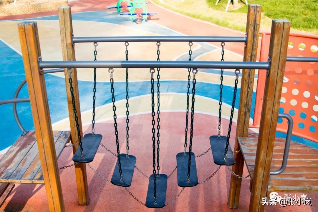 藏在森林里的儿童乐园,韶关市森林公园儿童游玩项目