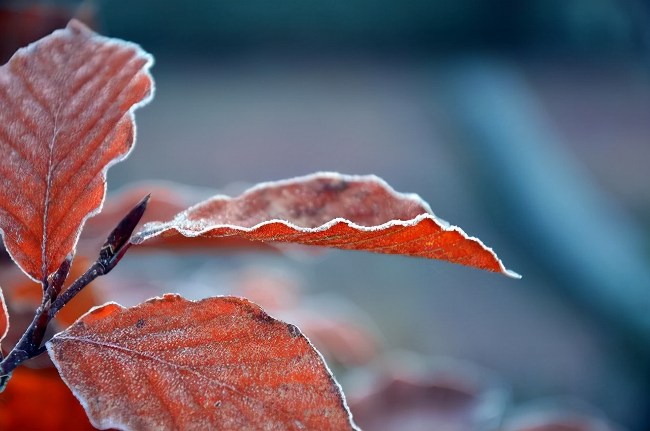 生气的时候就看看这3句话,生气的时候就看看这四句话