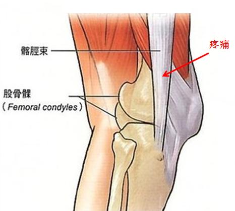 跑步常识与认知,跑步运动解剖学第2版心得