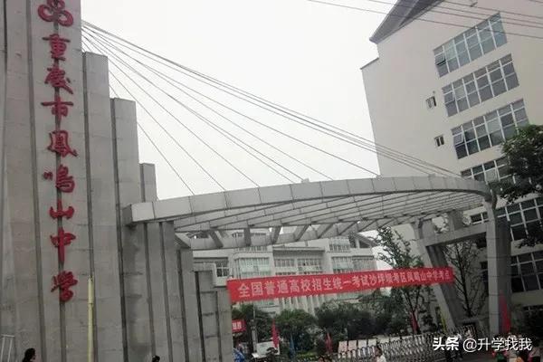 重庆小升初七龙珠择校信息汇总,重庆七龙珠初中分校最新排名