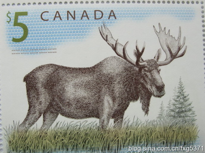 手工雕刻作品的收藏价值,真实的雕刻作品欣赏