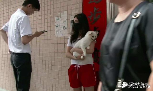 广东深圳高空坠狗事件,警方通报男子高空摔死狗
