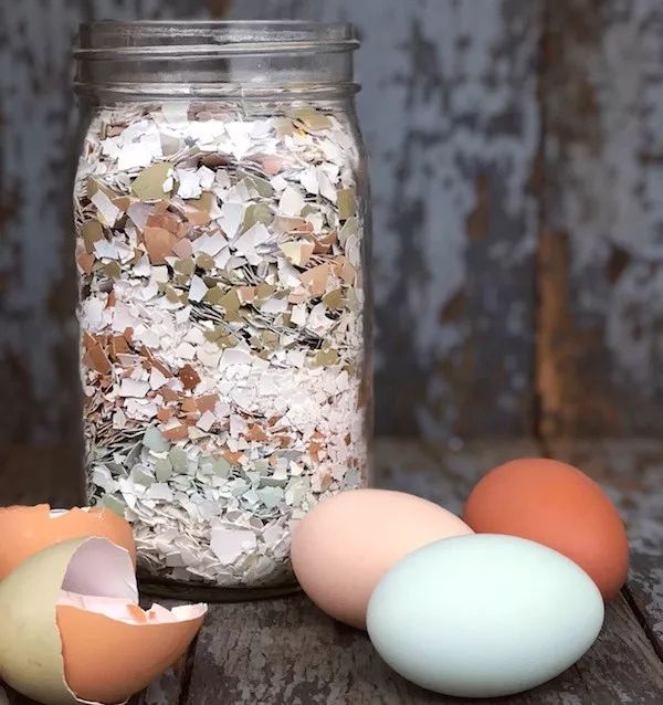 1个洋葱丢盆里,花朵砰砰开,一下能变2个头,省钱了!