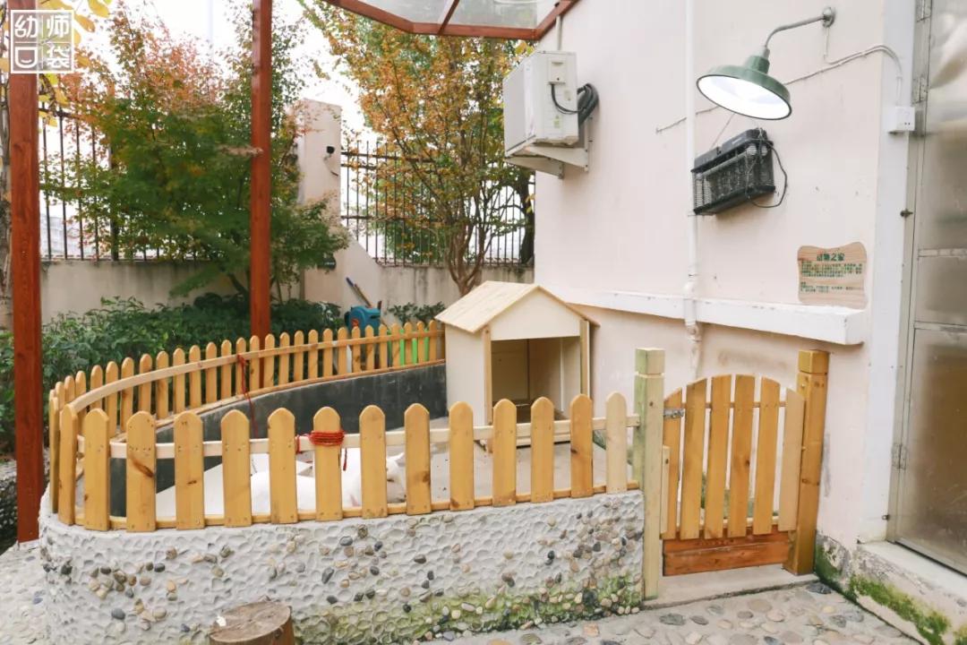 从哪个地方感受到幼儿园的美,幼儿园艺术感受与欣赏感悟分享