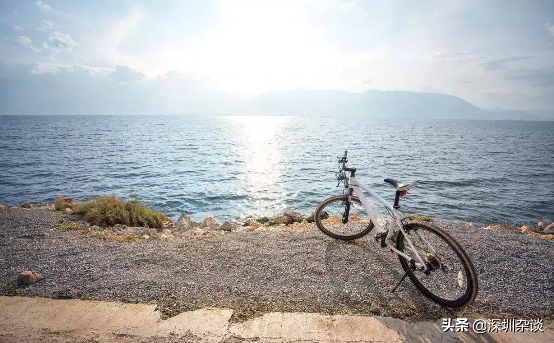 深圳杨梅坑溪谷,深圳最美溪谷杨梅坑