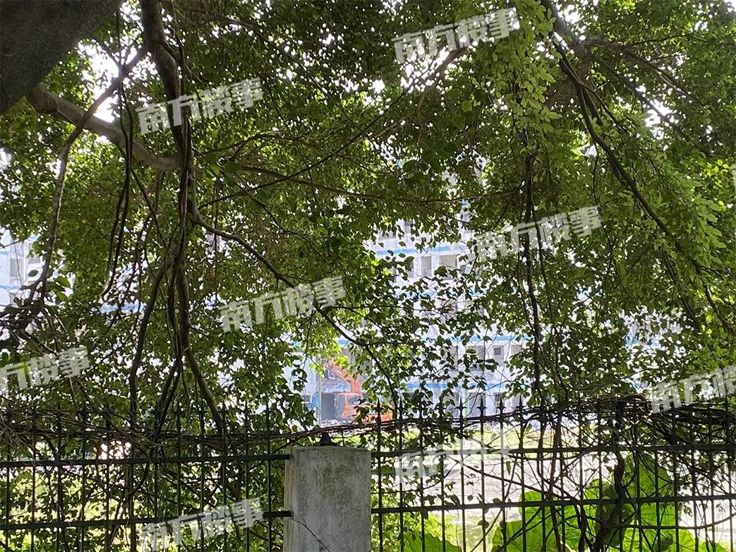 娣卞湷涓囦汉宸ュ巶鎼縼浜嗗悧,娣卞湷涓囦汉宸ュ巶鎼蛋鍚庣殑鎰熻