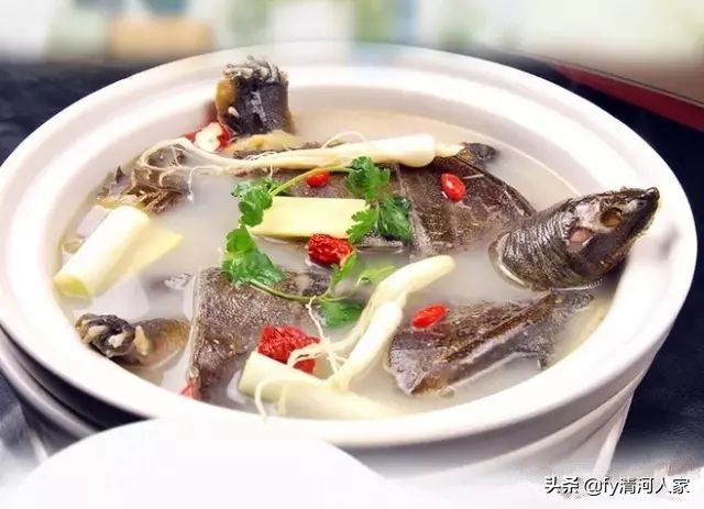 甲鱼的味道怎么形容,甲鱼的味道怎么样