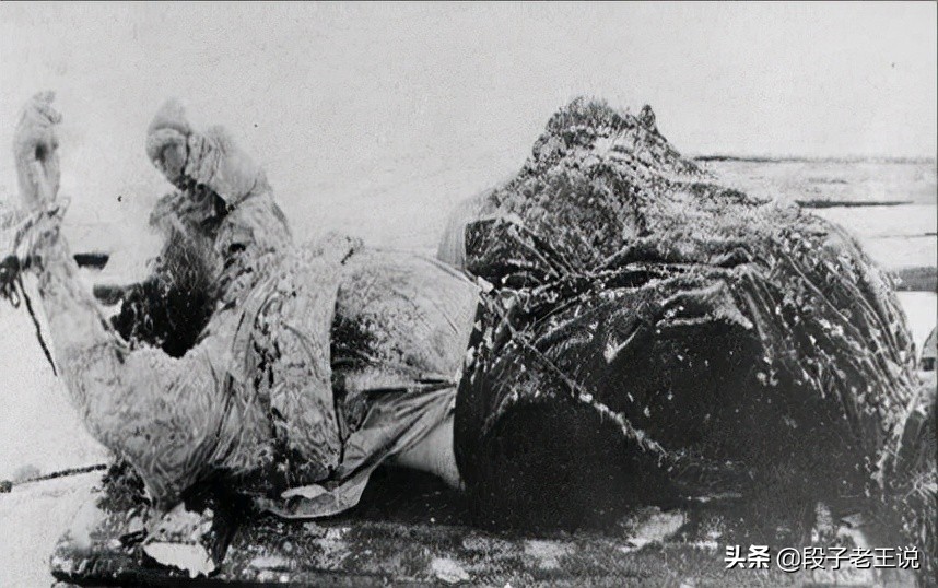 沙俄拉斯普京,拉斯普京一代妖僧