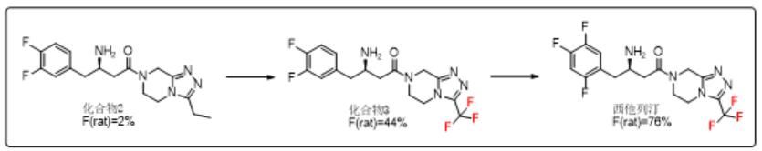 瀹濊棌鐢峰mod,瀹濊棌鐢峰鑻辨枃