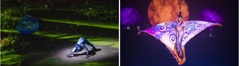 西双版纳景点、门票大全