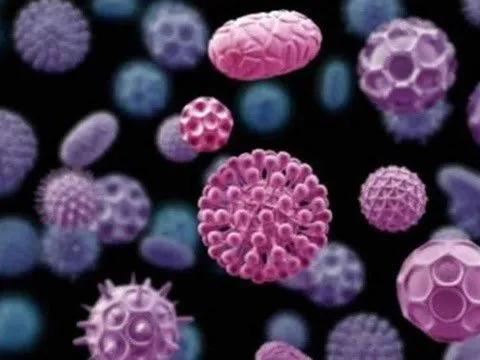 有哪些疾病性传播的,不是性传播的疱疹也不能根治吗