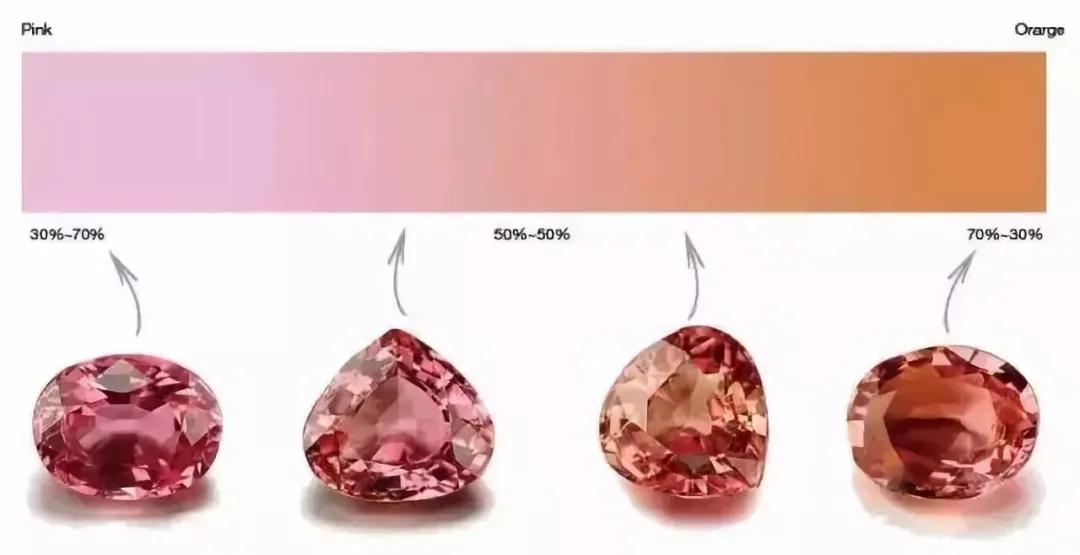 最完美的帕帕拉恰,帕帕拉恰是啥玩意