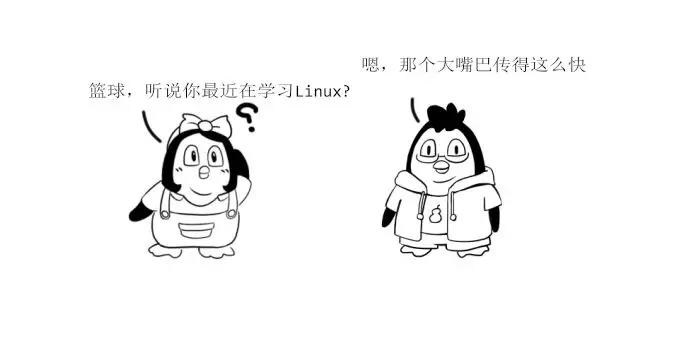 linux操作系统概述习题,不同的linux桌面系统