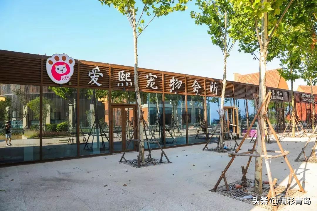 青岛红树林度假世界二期工程,青岛红树林度假世界会展中心