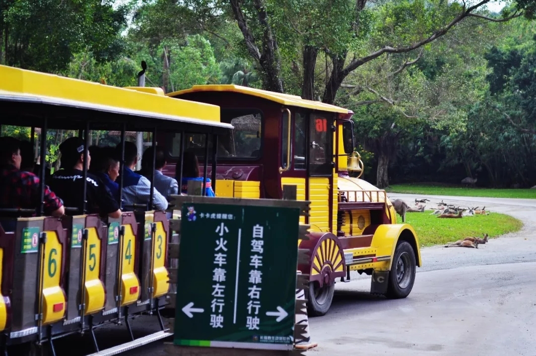 京轩溜娃指南|暑假带娃去哪儿玩?入坑长隆那是必须滴~