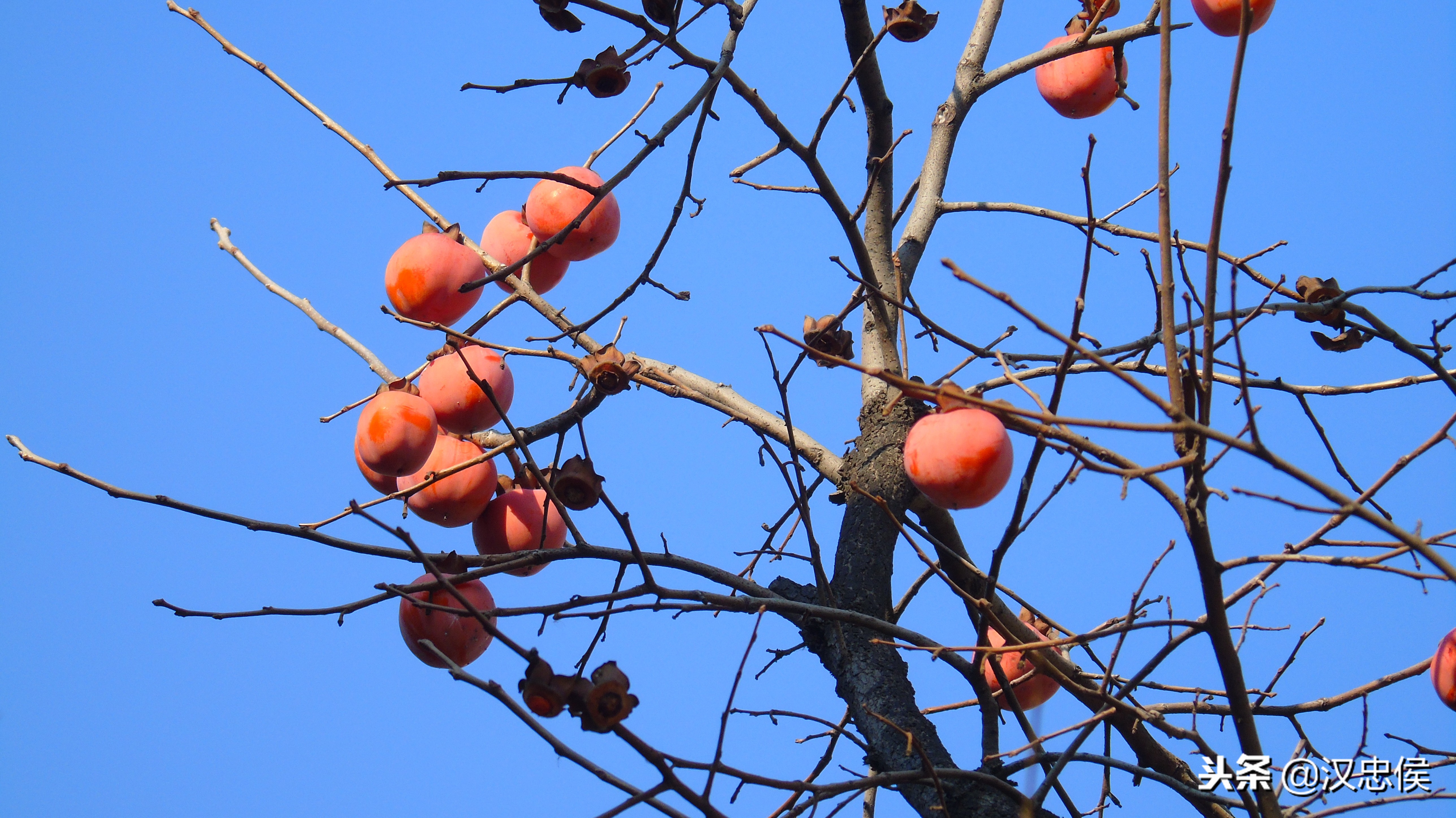 3000以内性价比超高的二手相机,适合拍摄的二手相机