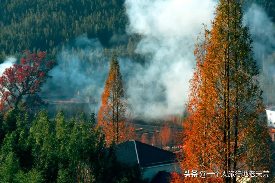 这才是12月最值得去的旅行地,11月12月去哪里旅游最美