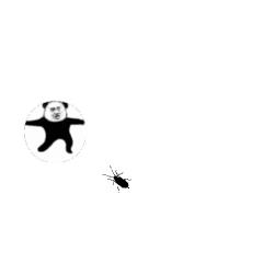 夏天最爱登门拜访惠州人的虫子，满屏全都是惊吓