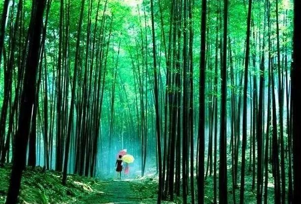 赤水市免费景点,赤水市市区景点