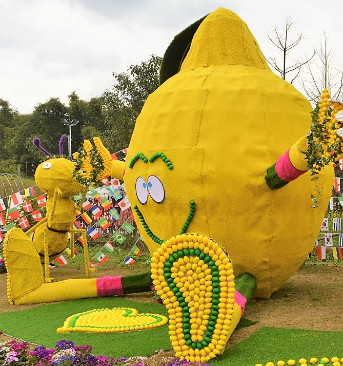春暖花开来农村踏青,春暖花开亲近大自然来一场野炊