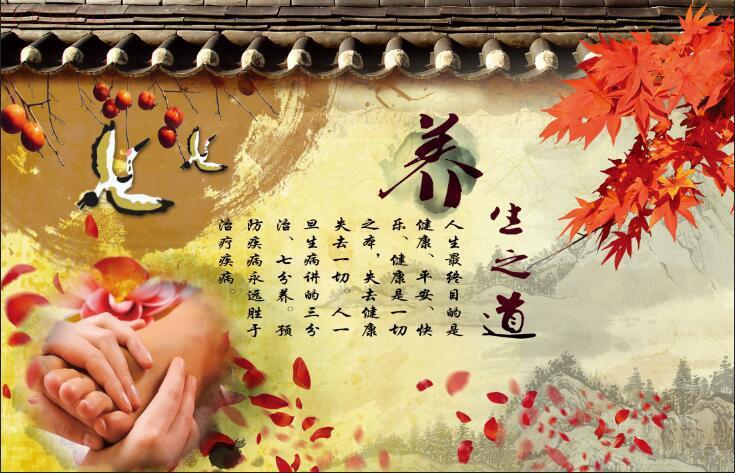 中医养生健康的原理,中医养生健康调养