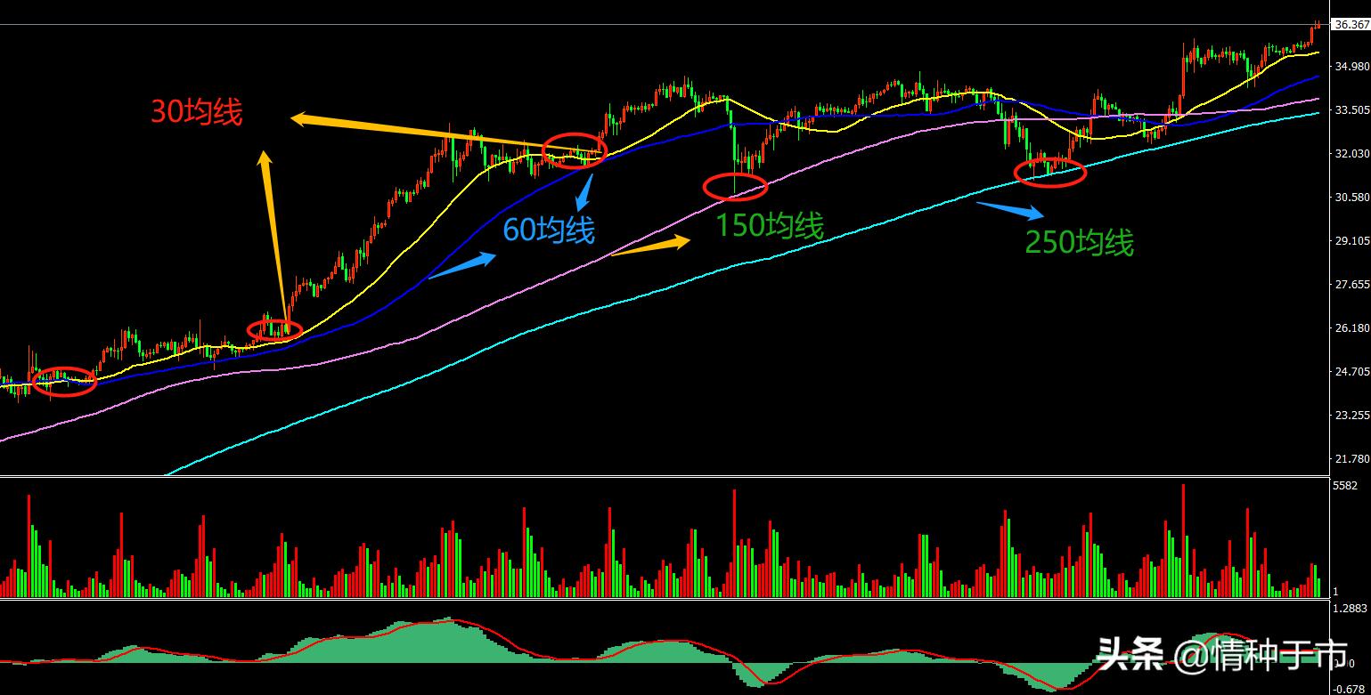 拐点战法和技巧,如何从走势判断当日的高低点