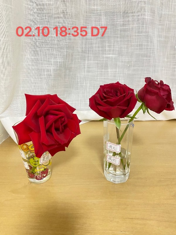 无形决定有形的说法,无形决定有形