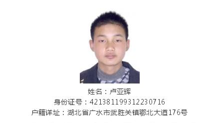 13名涉黑涉恶通缉犯落网,大悟扫黑除恶通缉犯名单图片