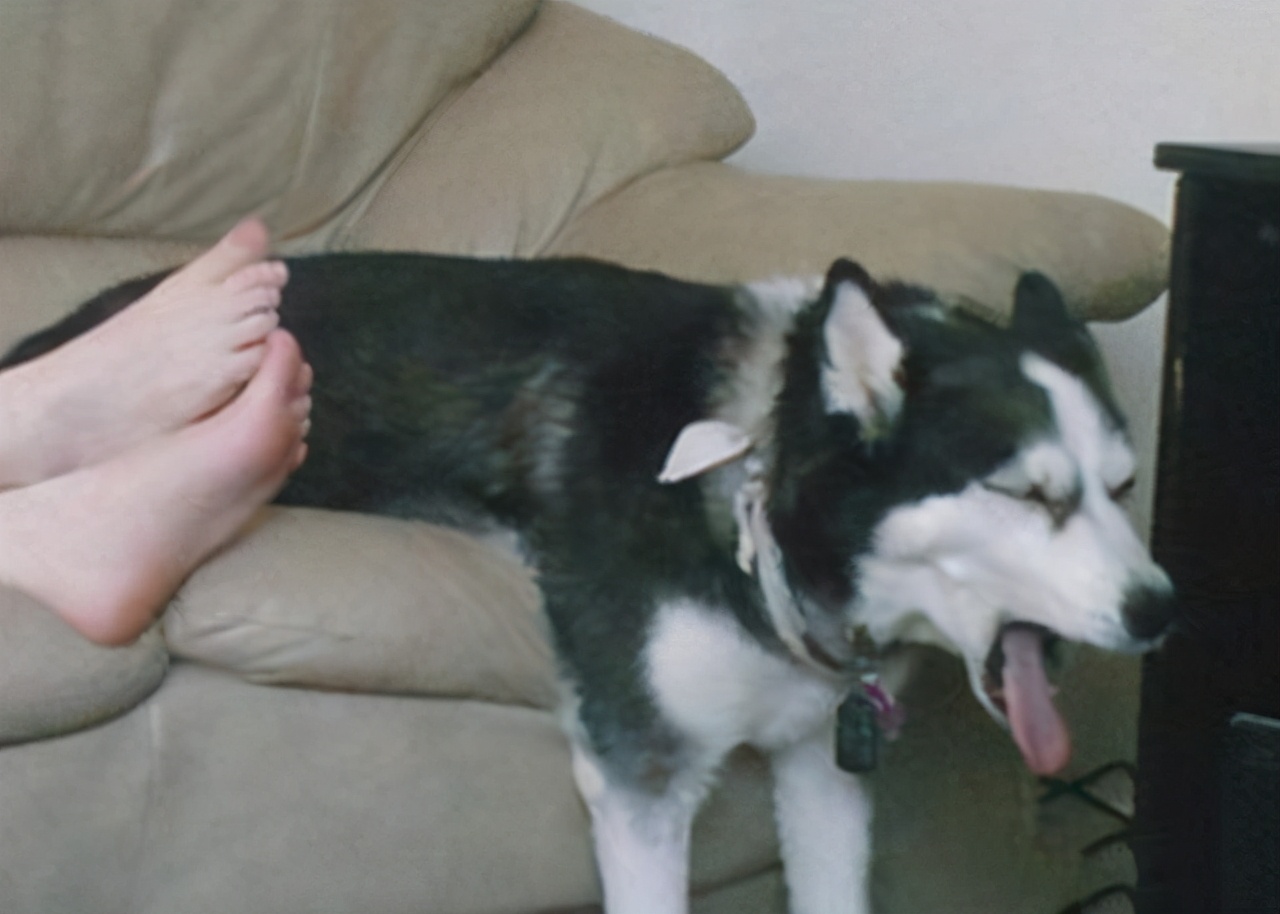 穿鞋脚臭用什么泡脚去臭,鞋袜除脚臭最好的方法