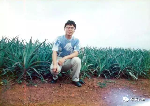 徐闻菠萝哪个基地好吃一点,徐闻菠萝特产有哪些