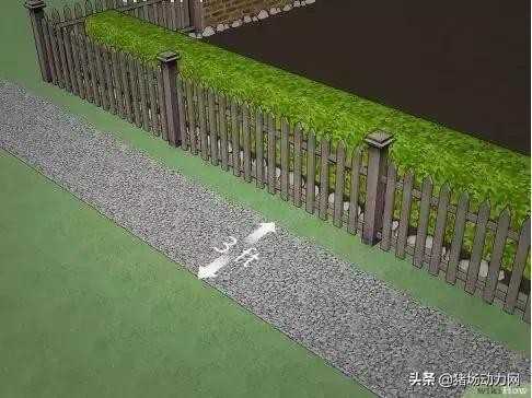 消灭蜱虫的药,蜱虫的毒性有多强