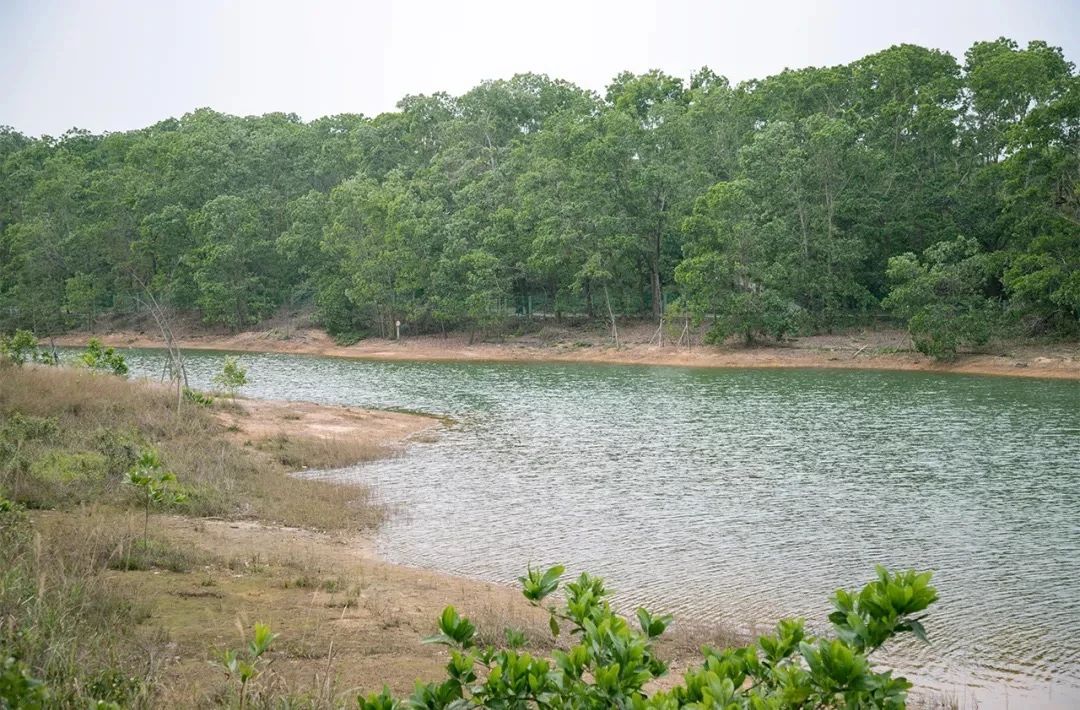 去深圳免费游玩的10个地方,深圳免费游玩景点推荐