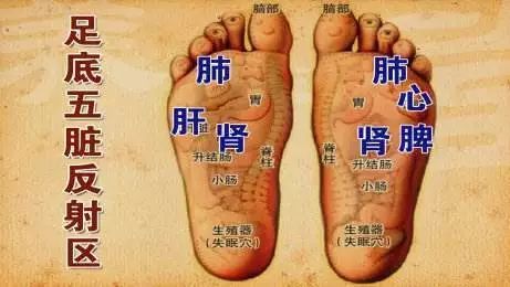 鍏荤敓鐭ヨ瘑澶磋鍑夎剼瑕佺儹,涓尰鍐ぉ澶磋鍐疯剼瑕佹殩