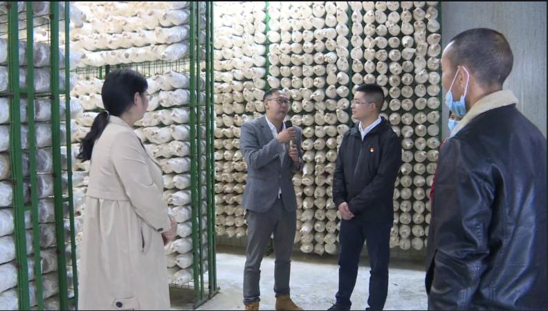 南充嘉陵区龙蟠,四川省南充市高坪区龙蟠镇