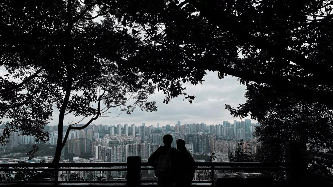 苹果手机夜晚如何拍出高清照片,手机拍产品照片怎么拍出高级感