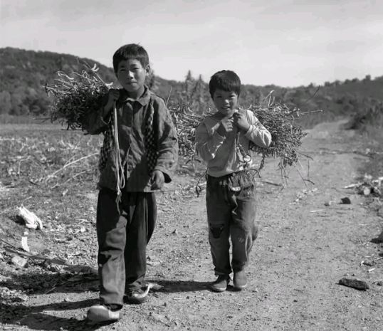 早上不扫地习俗,早晨不割秧晌午不摘瓜是什么意思