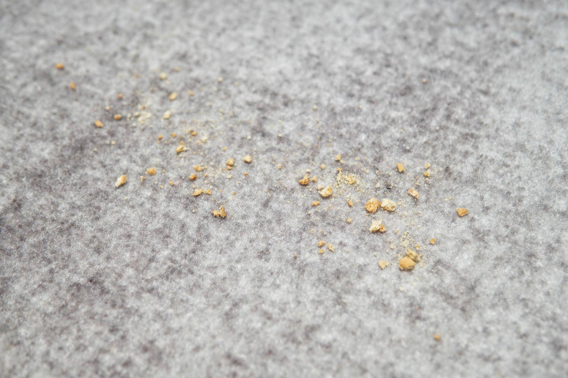 能扫能拖还能除菌？科沃斯地宝DEEBOTN8PRO评测