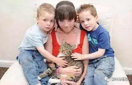 喵星人的背后是什么,盘点喵星人冬天也怕冷