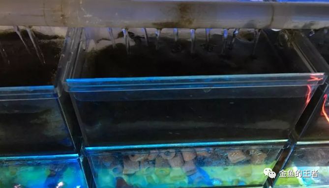 10个小技巧，简单粗暴，让过滤效率翻倍