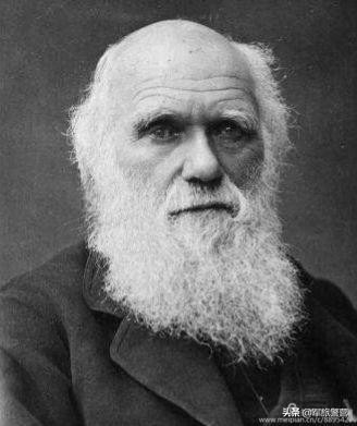 世界十大文化名人屈原,世界十大文化名人之首