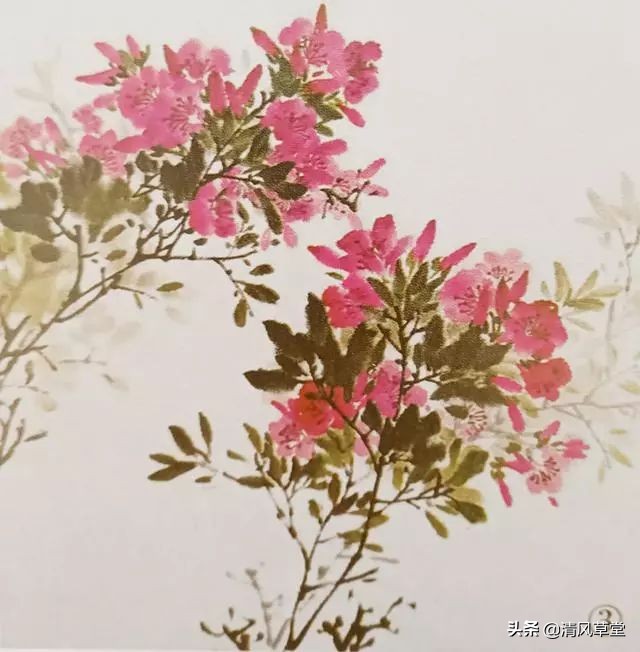 少儿国画花卉画法视频,各种花卉的100种画法