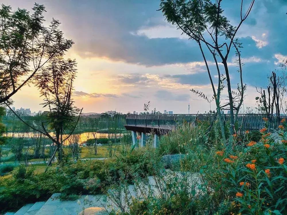 宛若美人卧成都,江家艺苑了解一下