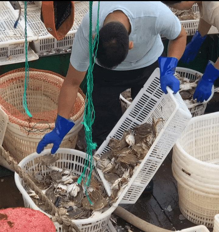 一年一度的开渔季,开渔季味蕾狂欢之旅