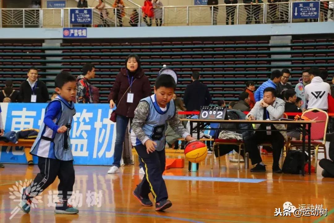 中国篮球名宿走进学校,中国篮球名宿26分