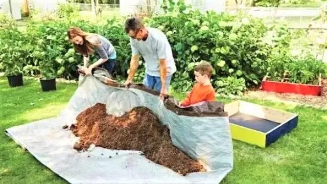 小型菜园怎么合理利用,1米菜园立体菜园