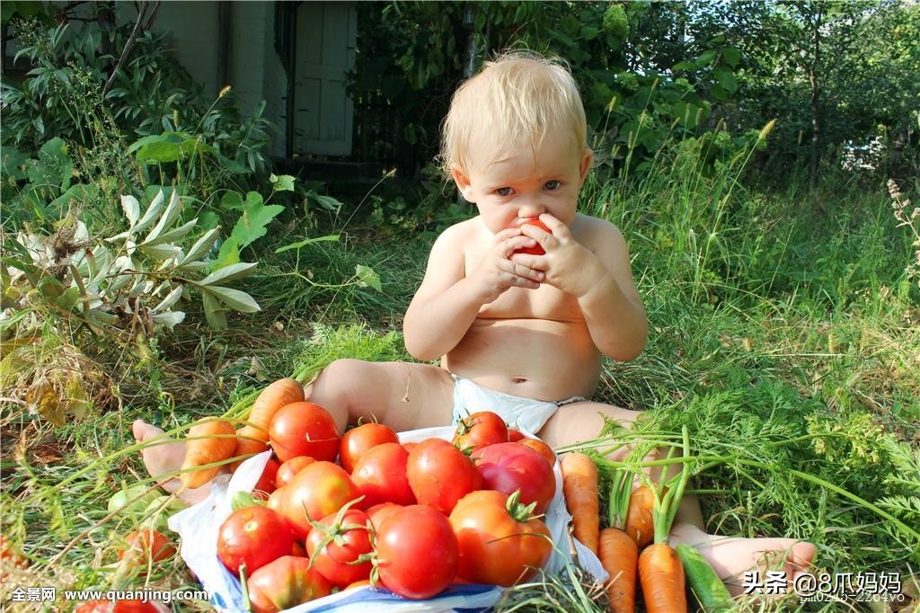 在家早教0-3岁,1-2岁宝宝在家早教游戏