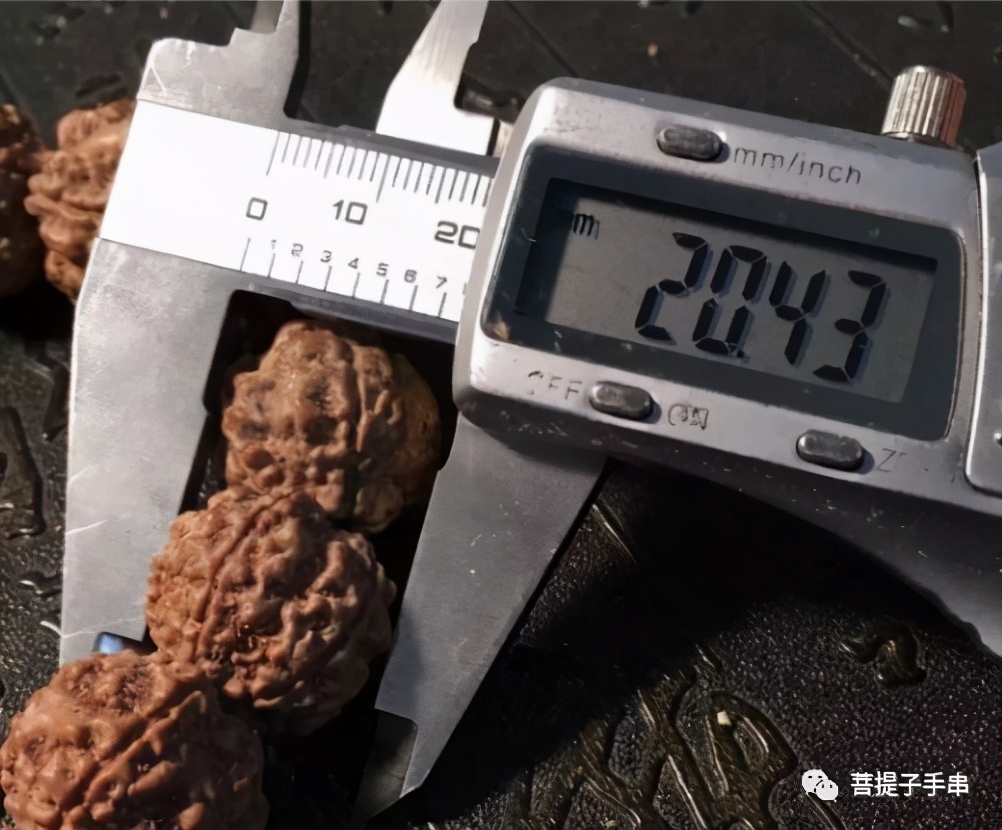 什么样的金刚菩提算上乘,尼泊尔金刚菩提和印尼菩提哪个好